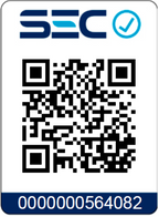 Planchador - secador automático